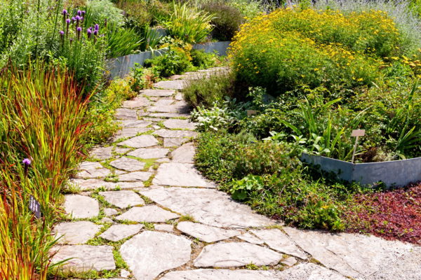 Planen Sie eine Gartengestaltung