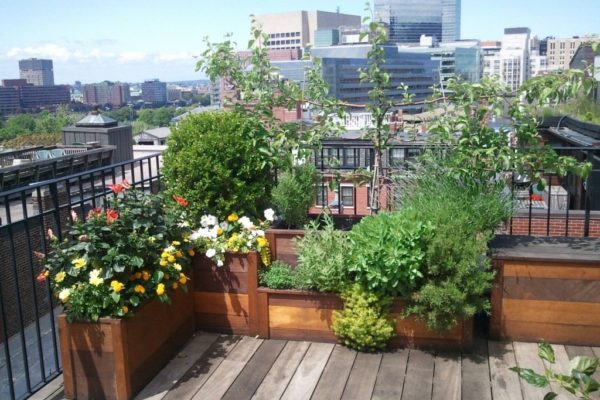 Eine Terrasse auf einem Flachdach bauen